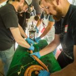 12th Annual Kolbász Festival